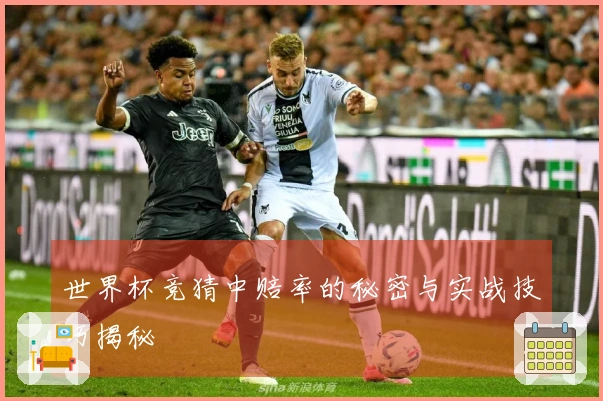 世界杯竞猜中赔率的秘密与实战技巧揭秘