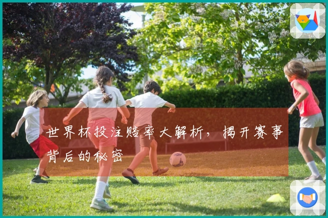 世界杯投注赔率大解析，揭开赛事背后的秘密