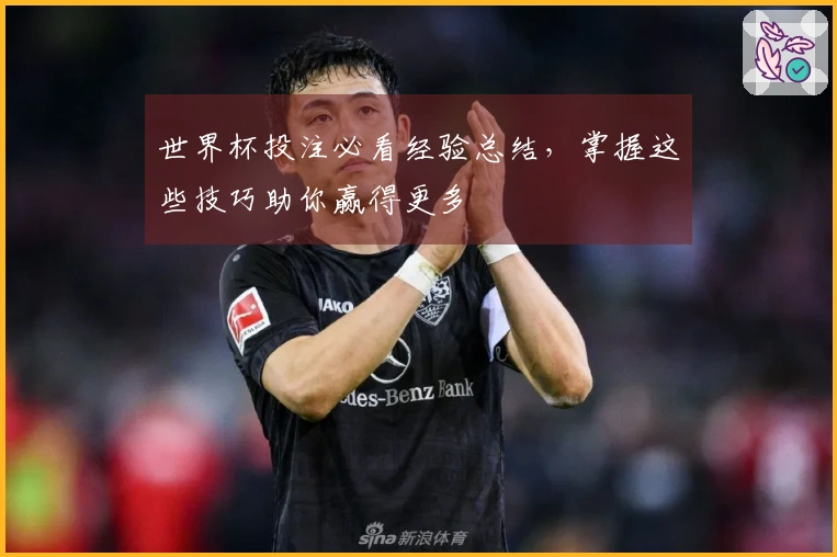 世界杯投注必看经验总结，掌握这些技巧助你赢得更多