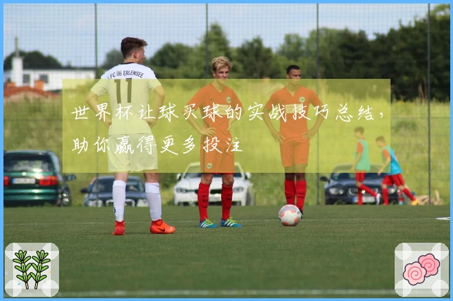 世界杯让球买球的实战技巧总结，助你赢得更多投注