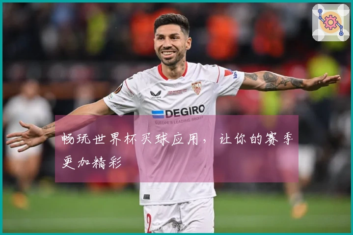 畅玩世界杯买球应用，让你的赛季更加精彩