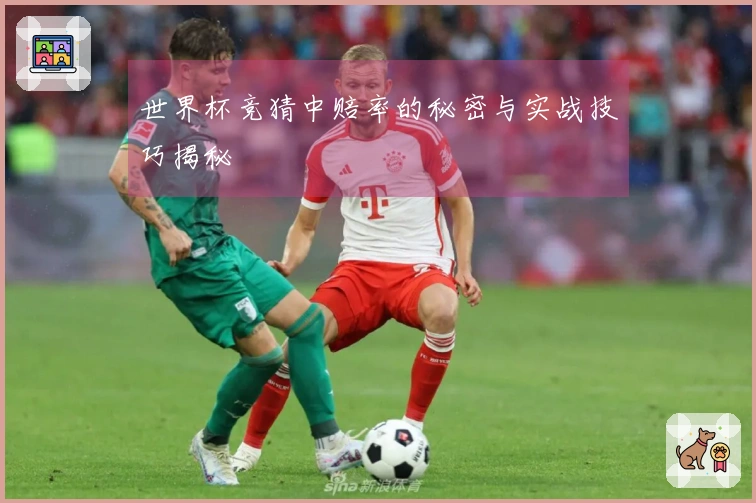世界杯竞猜中赔率的秘密与实战技巧揭秘