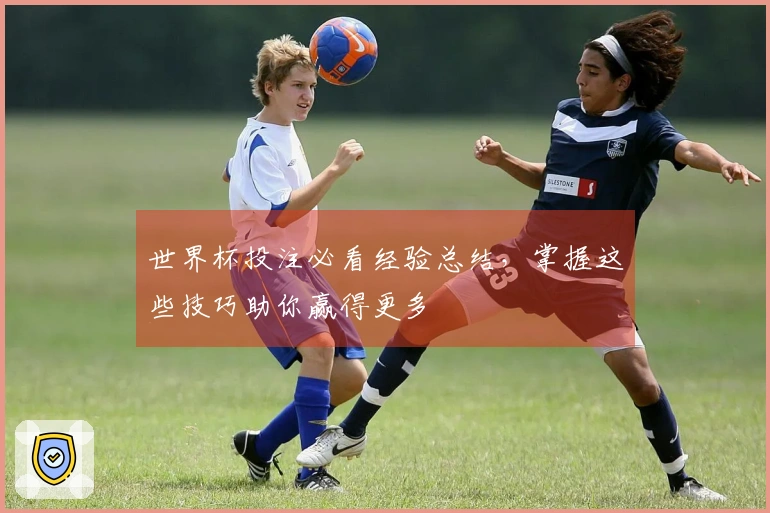 世界杯投注必看经验总结，掌握这些技巧助你赢得更多