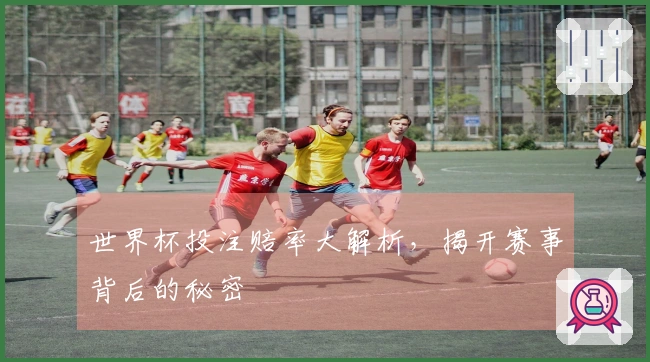 世界杯投注赔率大解析，揭开赛事背后的秘密