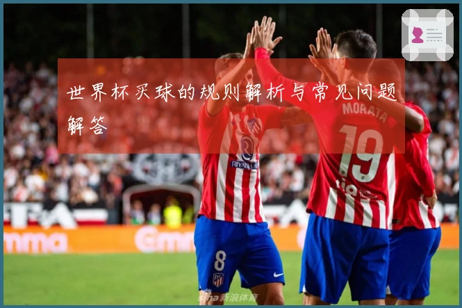 世界杯买球的规则解析与常见问题解答